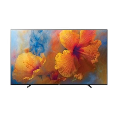 QLED televizorius SAMSUNG EXPO QE88Q9F QLED televizorius SAMSUNG EXPO QE88Q9F